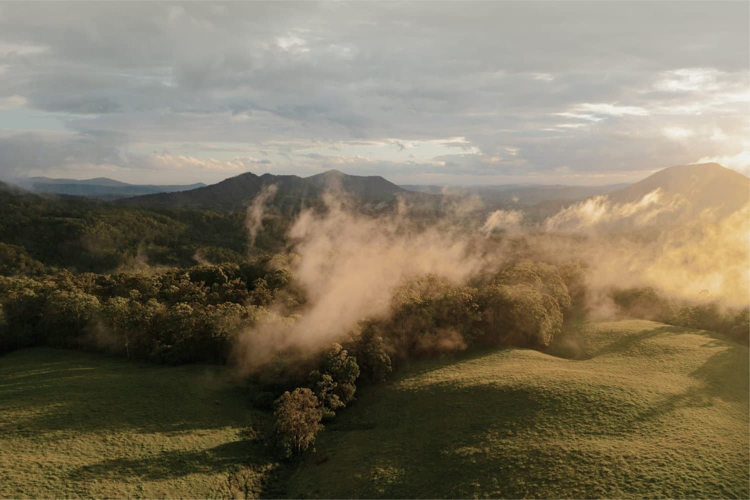 Misty Hunter Valley landscape at dawn